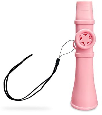 Kazoo für Erwachsene und Kinder – Waschbares Musikinstrument ohne Membranen zu ersetzen, perfekt für Gitarre, Klavier, Ukulele – einfach zu spielen, Stressabbau-Geschenk (Pink)