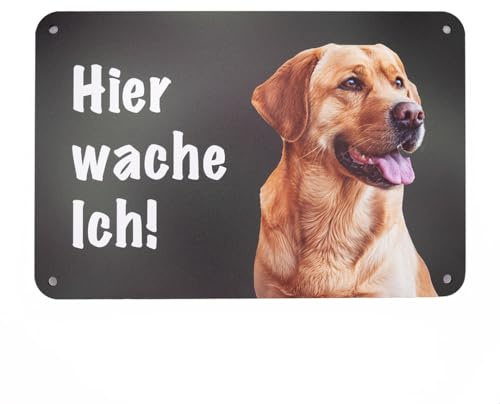 Hier wache ich Hund Schild Gartenzaun Schild, Warnung vor dem Hund Zaunschild Aluminium Verbundmaterial 24 cm x 16 cm, Made in Germany (Labrador (hellbraun))