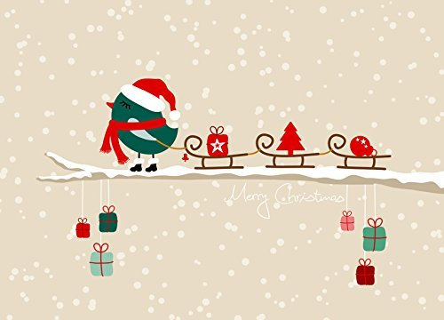 10 Weihnachtskarten Vögel Schlitten, Weihnachtskarten-Set, Postkarte Weihnachten 10er Set