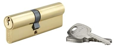 THIRARD Cylindre de Serrure Double Entrée, 40 x 50 mm, Laiton, 3 Clés | Protection anti-arrachement, mécanisme à goupilles haute précision, finition laiton, compatible portes standards