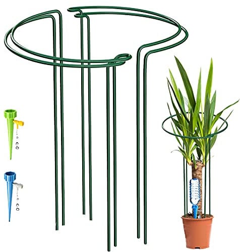 KAZITOO 4 Pack Large 60cm Tall Bow Plant Support Stakes, Strong Metal Garden Supports Half Round Flower Hoops with 2 Self Watering Spikes for Peonies, Hydrangea, Interlinking to Make Rows, Circles