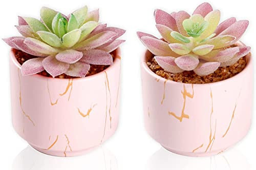 ZENMAG Fake Succulents, Mini Succulents Plants Artificial in Pink Ceramic Pots for Desk Office Livingroom Bathroom and Home Decoration Set of 2 Artificial Succulents