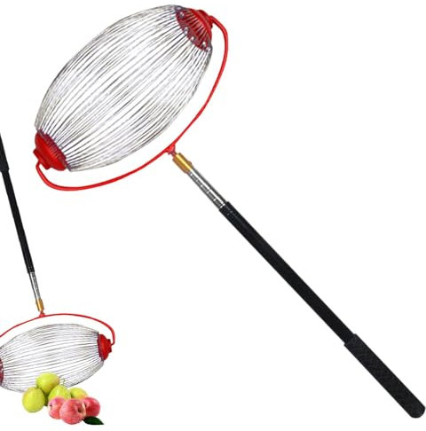 Nusssammler, Walnüsse Kastanien Erntemaschine, Edelstahl Rolling Garden Nut Harvester Obstpflücker mit Teleskopgriff, Anwendung auf Walnuss, Hickory, Kastanien, Golf