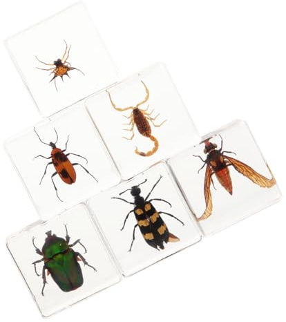 BEBEMOKO 6 Stück Kunstharz Insekten Dekor Filigrane Harz Skulpturen für Tisch Büro Transparente Natur Schreibtischornamente zur Lernförderung Zufälliger Stil