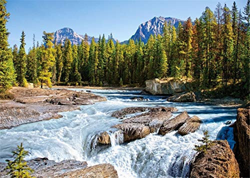 YEESAM ART DIY Ölgemälde Malen nach Zahlen Erwachsene Kinder, Fluss Holz Baum Berg Zahlenmalerei ab 5 Öl Wandkunst (Fluss, mit Rahmen)