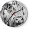 Modern Wanduhr Kuh Scotch Tier 30x30cm Rund Klein Wand Uhr Glas Analog Zimmeruhren Küche Büro Wohnzimmer Glasuhr Wall Clock Dekoration Design Wanddekoration Küchenuhr C4AR30x30-5129