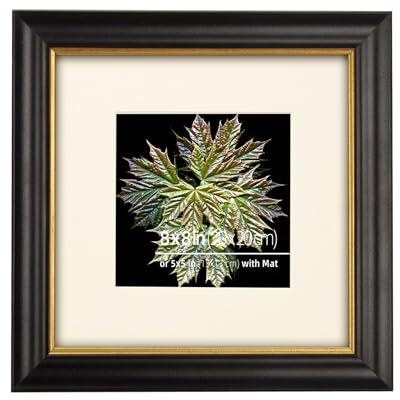 Eitida Cadre Photo Orné 20x20 cm ou 13x13 cm Avec Passe-Partout, Cadre Vintage en Bois Massif Noir et or, Vitrine en Verre Véritable à Poser ou à Accrocher au Mur