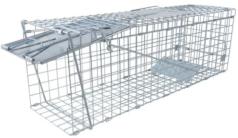 Large Humane Live Animal Trap - Heavy Duty Cage for Raccoons, Squirrel, Rabbits & Stray Cats - Foldable Rodent Control with Secure Handle - Reusable Squirrel Catcher, 62x19x22cm