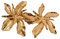 Broche Décorative Double Fleur, Finition Dorée, Style Orchidée