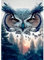 QENSPE 5D Diamond Painting Set Erwachsene, Eule Diamant Painting Bilder Wald Landschaft Diamond Art, Full DIY Diamant Kunst Malerei Stickerei Set Kreuzstich Bilder Home Wand Dekor 30x40cm
