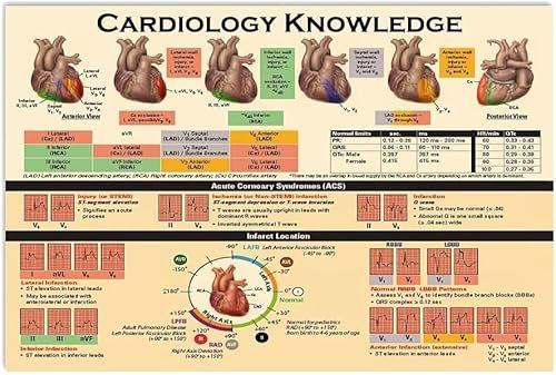 Oudrspo Kardiologie-Wissen, Metall-Blechschilder, Vintage-Kardiologie-Infografiken, Poster, Ärzte, Büro, Krankenhaus, Zuhause, Wanddekoration, Plaketten, 30,5 x 40,6 cm