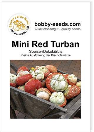Mini Red Turban Bischofsmütze klein Kürbissamen von Bobby-Seeds, Portion