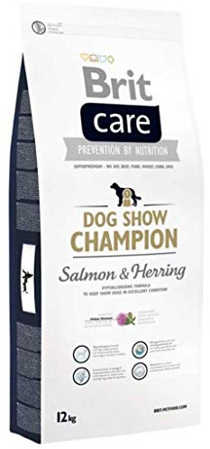 Brit Dog Show Champion mit Lachs und Hering, 1er Pack (1 x 12 kg)