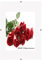 Bilderrahmen Cliprahmen Fotorahmen Bildhalter A1 A2 A3 A4 A5 A6 B2 Kunstglas Plexi (40 x 60 cm)