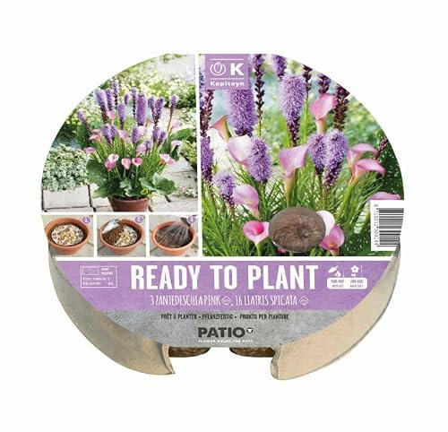 Muddy Hands Ready to Plant 19 Flower Bulbs in Round Biodegardable Tray