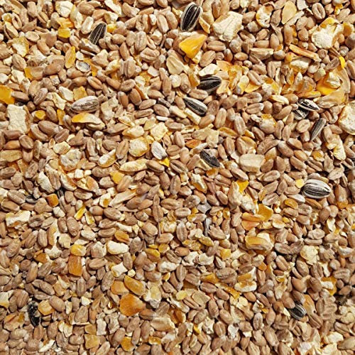 Supravit Geflügelkörnerfutter 2,5kg ohne Gentechnik - Körnermischung für Geflügel, Hühner, Wachteln & Enten - ideal als Alleinfutter, Zusatzfutter & Winterfutter geeignet