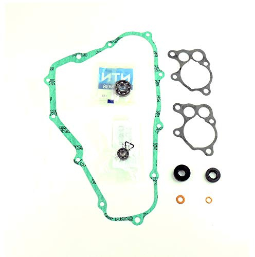 Athena Parts P400210475012 Dichtungssatz für Wasserpumpe, Schwarz