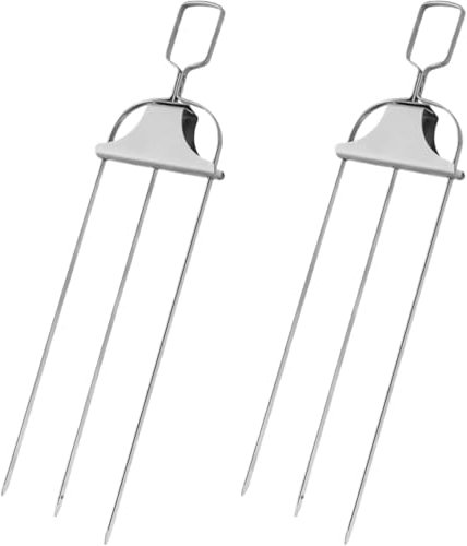 DOITOOL 2 Pièces Tige De Broche De Gril Fourches En Acier Inoxydable Tige De Broche De Rôtisserie Accessoires De Barbecue Fourchette De Poulet Rôti Viande Grillée Fourchettes Fourchette À