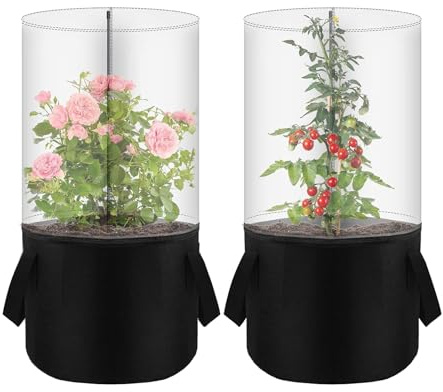 Mini serre – Mini jardinière avec protection contre le gel pour intérieur et extérieur, jardin, balcon, serre, crèche, maison