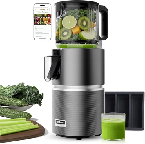 Anybear 350W Cold Press Juicer with 4.9 Large Feed Chute, Masticating Juicer Machines with Dual Slow-Squeezing Technology for Whole Fruits & Veggies with High Yield | BPA-Free Tritan (Grey)
