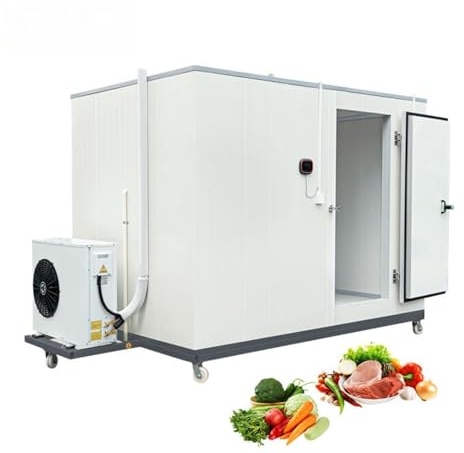 Passeggiata mobile portatile per conservazione frigorifera, da -18 °C a 10 °C, unità di refrigerazione a doppio scopo con controllo intelligente della temperatura e monitoraggio remoto, capacità di 2