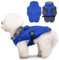 DENTRUN Hundemantel für Kleine Hunde, Hunde Wintermantel, Wintermantel Hund Wasserdicht, Hundejacke mit Leine Loch, Reflektierend Hundejacke, Winddichter Wintermantel(Blau, S)