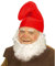 Zwergenmütze rot Zwergen Mütze Zwerg Zipfelmütze Papa Schlumpf Schlumpfmütze Fasching Wichtelmütze Kopfbedeckung Wichtel Gnom Kobold Hut Faschingsmütze Mottoparty Accessoire Karneval Kostüm Zubehör