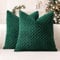 Sungeek 2er Set Kordsamt Kissenbezüge, Dekorativ Zierkissenbezüge Weich Kissenbezug Dekokissen Sofakissen Boho Deko Bezug Kissenhülle für Sofa Schlafzimmer Wohnzimmer (Dunkelgrün, 60x60 cm)