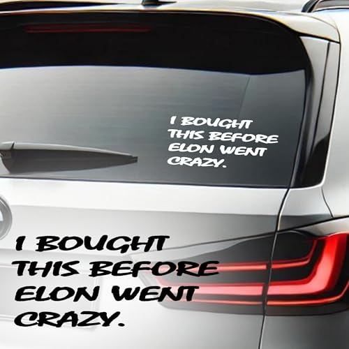 I BOUGHT THIS BEFORE ELON WENT CRAZY Aufkleber Auto Tesla Vinyl Sticker, 15x7cm, black