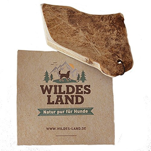 Wildes Land - Hirschgeweih Schaufel - M - Natürlich abgeworfenes Geweih - Reines Naturprodukt ohne Zusätze - Geruchslos, splittert Nicht - Unterstützt die Zahnreinigung - Geweihkausnack