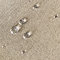 novely® ARAGON WATERPROOF UV+ - Premium Outdoor-Stoff - Lichtechter Möbelstoff - Polsterstoff in Baumwoll-Optik - Markisenstoff - Pflegeleichte Meterware 1lfm (34 Beige Leinen)