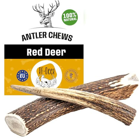 RF - Deer Hundeknochen Hundesnack Rothirsch Geweih Kausnack, Hirschgeweih für Hunde, 100% natürlicher, Gesunder Hundespielzeug, Kauknochen für Genuss und Zahnpflege (XS, Hard - 1 Stück)