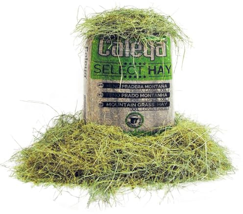 Heno Pradera de Montaña para Caballos 14kg. Caleya Select Hay. 100% Hierba Natural. Fibra digestible. Ideal para equinos.