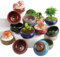 TOPZEA 16 Pack Mini Succulent Planter Pot, 2.5 Inch Ceramic Ice Crack Cactus Seed Starter Pots Micro Landscape Planter with Drainage Hole & Bamboo Tray for Moss Plant, Baby Succulent, Herb