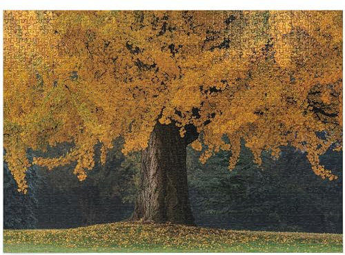 ABAKUHAUS Baum Puzzle, Blätter Baum Herbst Jahreszeit, Heirloom-Qualität lustige Aktivität für die Familie langlebiger Karton, 1000 Stücke, Erde Gelb Braun