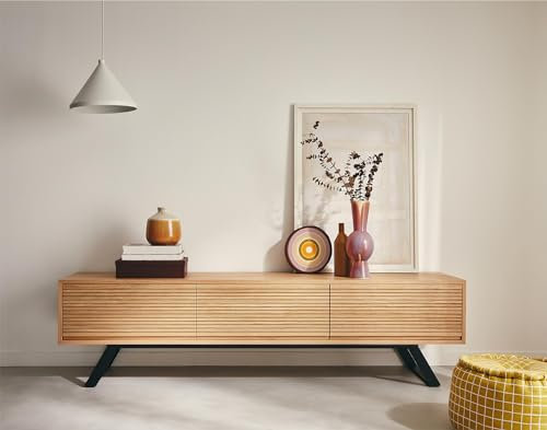 Lisa Design - Meuble TV Zapallar Rectangulaire en Bois Noir avec Rangements 1 Porte 2 Tiroirs - Salon