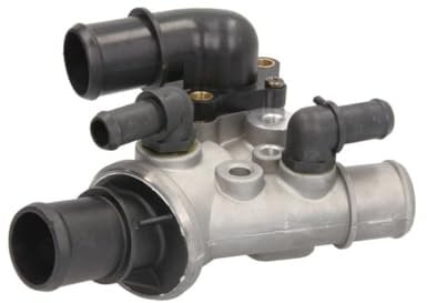Calorstat TH5976.80J Thermostat d'eau