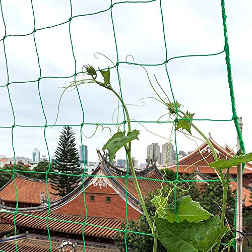 Garden Netting, 3.6 x 1.8 m Pea Bean Netting, Plastic Plant Climbing Net, Green Trellis Net for Vegetables Climbing Plants