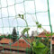 Garden Netting, 3.6 x 1.8 m Pea Bean Netting, Plastic Plant Climbing Net, Green Trellis Net for Vegetables Climbing Plants