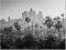 Kunstdruck auf Leinwand, Motiv: Skyline von Los Angeles, Schwarz und Weiß, Stadtlandschaft, Bild für Büro, Dekoration, kalifornische Palmen, Poster, Zuhause, Schlafzimmer, Dekoration, Gemälde,