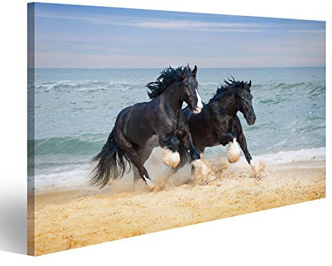 Bild auf Leinwand Zwei Schöne Große Pferde Züchten Shire Galopp Entlang Dem Strand Der Sand Gegen Das Blaue Meer Aufhebt Wandbild Poster Kunstdruck Bilder