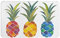 EVIUS Bunte Ananas-Fußmatte, dekorativer Teppich, Outdoor-Spaß, Willkommensmatte, Vorderfußmatte, 80 cm x 49 cm, personalisierte dekorative Teppiche für Hauseingang, Treppenhaus, Terrasseneingang
