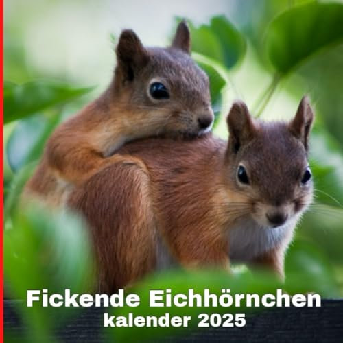 Fickende Eichhörnchen kalender 2025: Ein Geschenk für Eichhörnchenliebhaber
