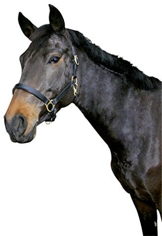 Kerbl Halfter Eco Pony, Leder Schwarz, 32255