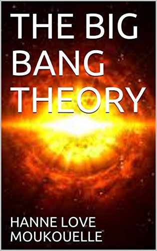 THE BIG BANG THEORY (English Edition)