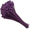 25 Tie Wraps Cable Ties Fasteners Wire Zip Strap Cord Strong Nylon Plastic Durable (Small 100mm, Purple)