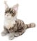 Uni-Toys - Maine-Coon-Katze, sitzend (grau) - 30 cm (Höhe) - Plüsch-Katze - Plüschtier, Kuscheltier