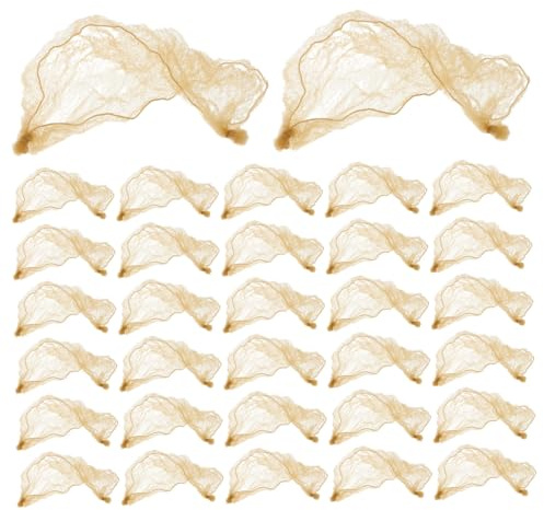MOTHNUR 40 Stück Ballett Haarnetz Netz Haarnetze Für Dutts Damen Ballett Elastisches Haarnetz Netz Haarnetze Unsichtbare Haarknotenhalter
