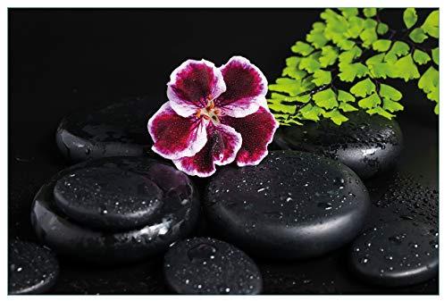 Wallario Küchenrückwand selbstklebend 90 x 60 cm, Motiv: Geranienblüte auf schwarzen Steinen, benetzt mit Wassertropfen | Spritzschutz abwischbar & pflegeleicht