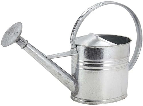 AUBRY GASPARD Arrosoir en Zinc 10 litres